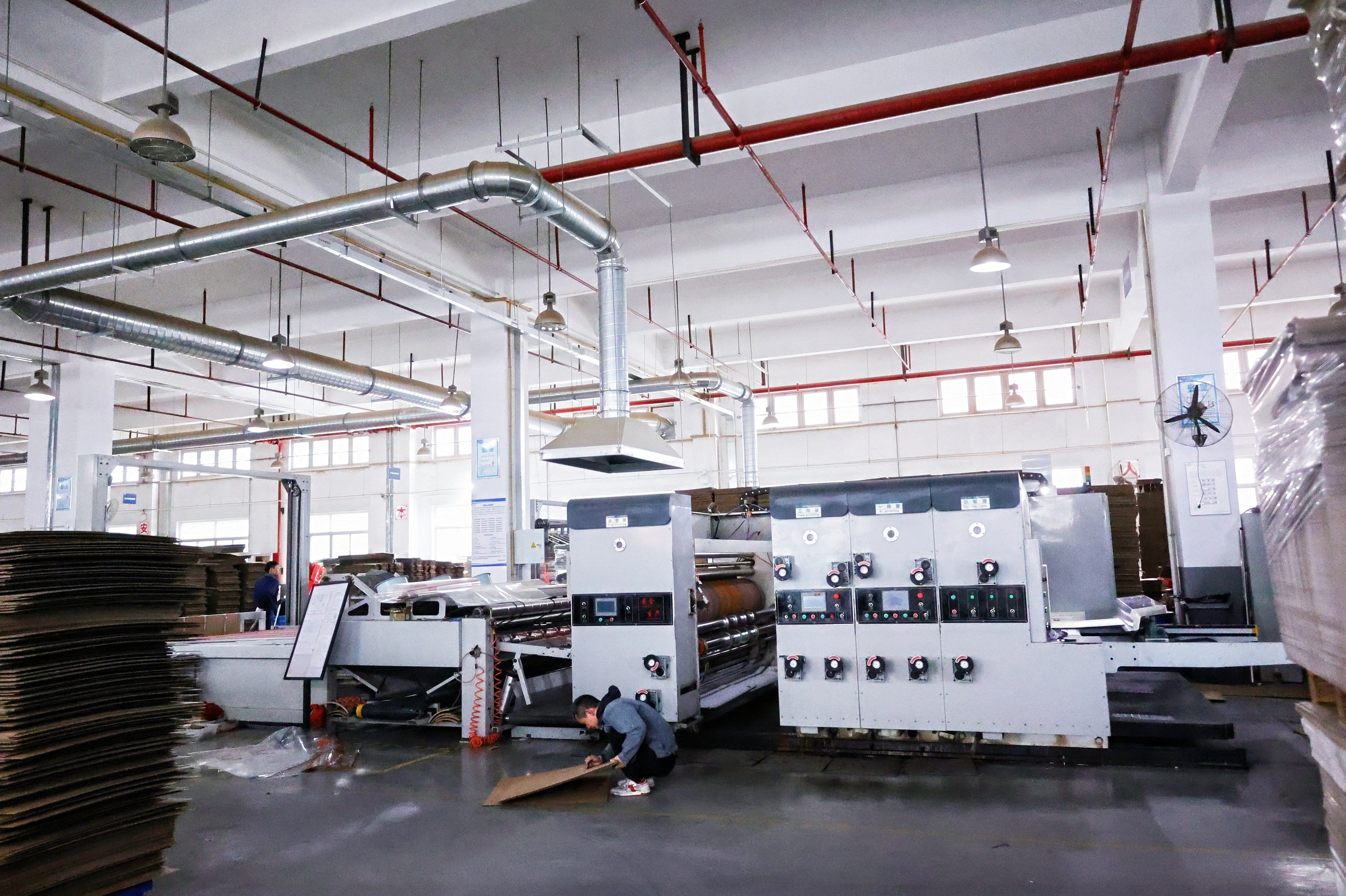 Flexo printing machine